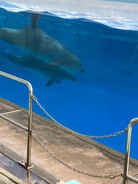 名古屋港水族館に投稿された画像（2023/11/23）