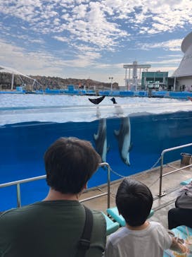 名古屋港水族館に投稿された画像（2023/11/23）