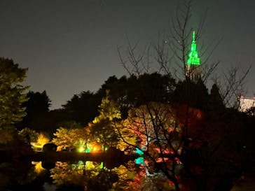 NAKED 紅葉の新宿御苑2023に投稿された画像（2023/11/23）