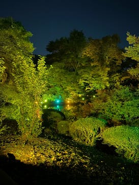 NAKED 紅葉の新宿御苑2023に投稿された画像（2023/11/23）