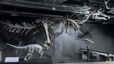 AOAO SAPPOROに投稿された画像（2023/11/23）