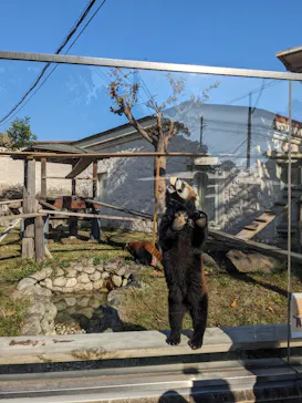 天王寺動物園に投稿された画像（2023/11/23）