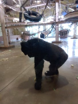 名古屋市東山動植物園に投稿された画像（2023/11/23）