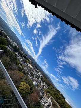 小田原城に投稿された画像（2023/11/23）