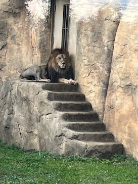 千葉市動物公園に投稿された画像（2023/11/24）