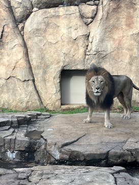 千葉市動物公園に投稿された画像（2023/11/24）