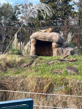 千葉市動物公園に投稿された画像（2023/11/24）
