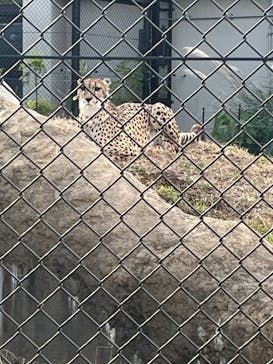 千葉市動物公園に投稿された画像（2023/11/24）