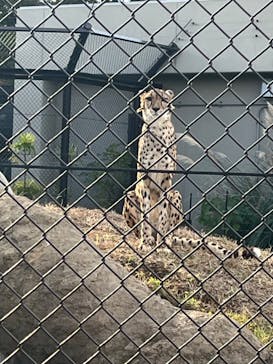 千葉市動物公園に投稿された画像（2023/11/24）