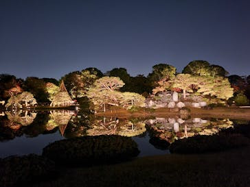 六義園に投稿された画像（2023/11/24）