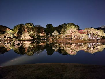 六義園に投稿された画像（2023/11/24）