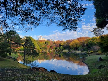 六義園に投稿された画像（2023/11/24）