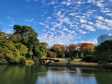 六義園に投稿された画像（2023/11/24）