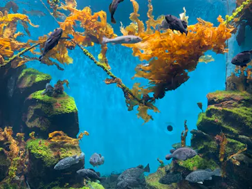 仙台うみの杜水族館に投稿された画像（2023/11/24）