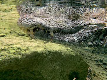 仙台うみの杜水族館に投稿された画像（2023/11/24）