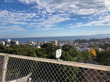 小田原城に投稿された画像（2023/11/24）