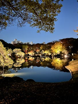 六義園に投稿された画像（2023/11/24）