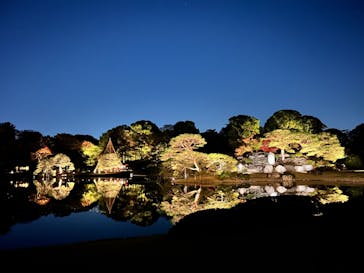 六義園に投稿された画像（2023/11/24）