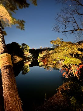 六義園に投稿された画像（2023/11/24）