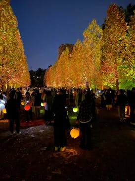 NAKED 紅葉の新宿御苑2023に投稿された画像（2023/11/24）