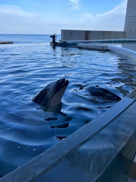 城崎マリンワールドに投稿された画像（2023/11/24）