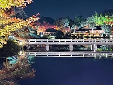 国営昭和記念公園 秋の夜散歩に投稿された画像（2023/11/24）