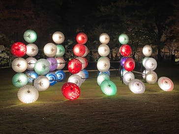 国営昭和記念公園 秋の夜散歩に投稿された画像（2023/11/24）