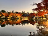 国営昭和記念公園 秋の夜散歩に投稿された画像（2023/11/24）
