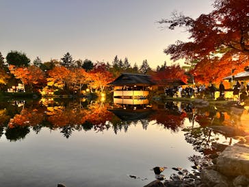 国営昭和記念公園 秋の夜散歩に投稿された画像（2023/11/24）