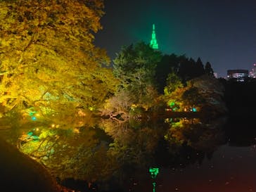 NAKED 紅葉の新宿御苑2023に投稿された画像（2023/11/24）