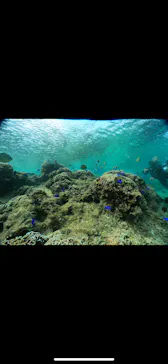 武藤潜水に投稿された画像（2023/11/24）