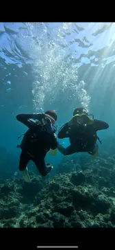 武藤潜水に投稿された画像（2023/11/23）