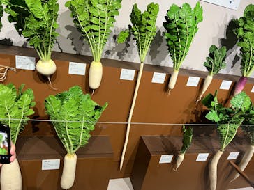 特別展「和食 ～日本の自然、人々の知恵～」に投稿された画像（2023/11/24）