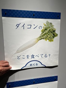 特別展「和食 ～日本の自然、人々の知恵～」に投稿された画像（2023/11/24）