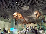 国立科学博物館に投稿された画像（2023/11/24）