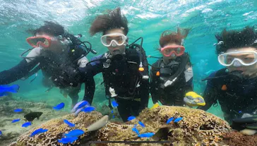 武藤潜水に投稿された画像（2023/11/24）