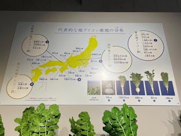 特別展「和食 ～日本の自然、人々の知恵～」に投稿された画像（2023/11/24）