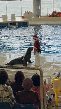 アクアワールド茨城県大洗水族館に投稿された画像（2023/11/24）