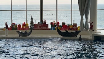 アクアワールド茨城県大洗水族館に投稿された画像（2023/11/24）