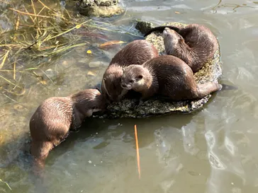神戸どうぶつ王国に投稿された画像（2023/11/24）