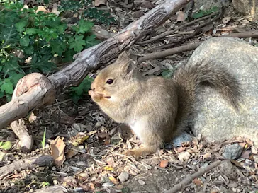 神戸どうぶつ王国に投稿された画像（2023/11/24）