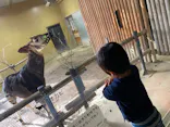 よこはま動物園ズーラシアに投稿された画像（2023/11/24）