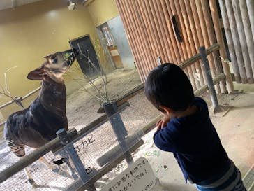 よこはま動物園ズーラシアに投稿された画像（2023/11/24）