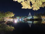 国営昭和記念公園 秋の夜散歩に投稿された画像（2023/11/24）