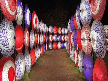 国営昭和記念公園 秋の夜散歩に投稿された画像（2023/11/24）