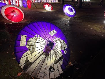 国営昭和記念公園 秋の夜散歩に投稿された画像（2023/11/24）