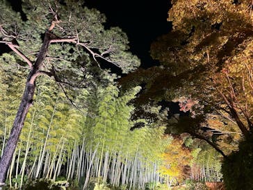 国営昭和記念公園 秋の夜散歩に投稿された画像（2023/11/24）