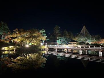 国営昭和記念公園 秋の夜散歩に投稿された画像（2023/11/24）