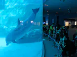 名古屋港水族館に投稿された画像（2023/11/24）
