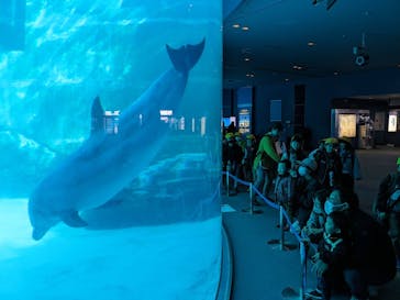 名古屋港水族館に投稿された画像（2023/11/24）